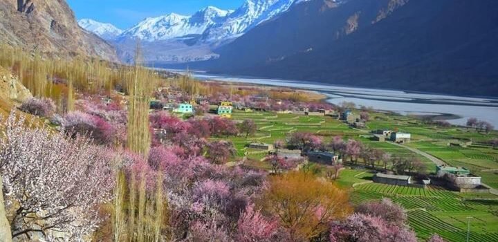 spring blossom tour gilgit baltistan rumi tours